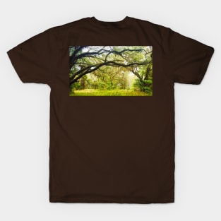 Spanish Moss in Trees T-Shirt